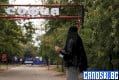 Сивопаветни мисли на един провинциалист