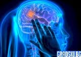 Илон Мъск получи одобрение за тестване на мозъчни чипове върху хора