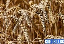 Можем ли българите да станем по-богати