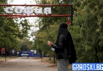 Сивопаветни мисли на един провинциалист