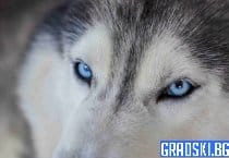 Мая и нейната жестока съдба