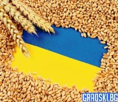 Зърнопроизводителите провеждат национален протест срещу вноса от Украйна в столицата и на пътя