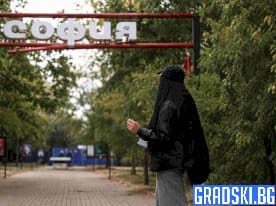 Сивопаветни мисли на един провинциалист