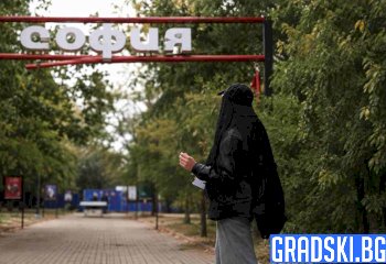 Сивопаветни мисли на един провинциалист
