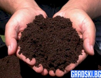 Световният ден на почвата отбелязваме на 5 декември
