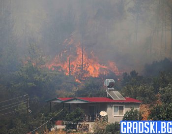 Страната ни преживява около 600 горски пожари всяка година