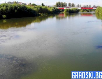 В река Марица са открити високи стойности на токсичност
