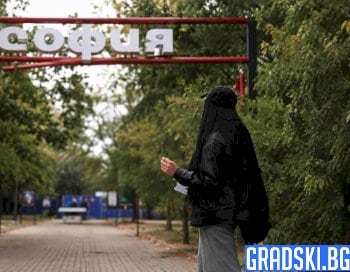 Сивопаветни мисли на един провинциалист