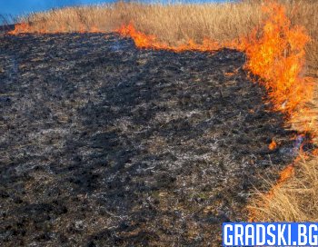 Проверки за запалени стърнища могат да доведат до глоби