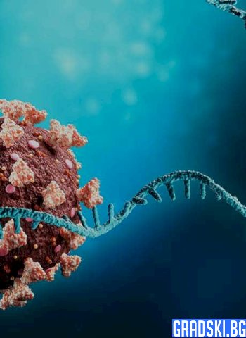 Учените, помогнали за разработката на иРНК ваксини срещу ковид, получиха Нобелова награда
