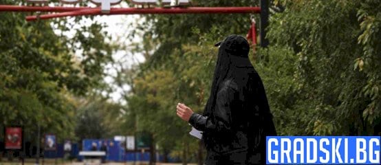 Сивопаветни мисли на един провинциалист
