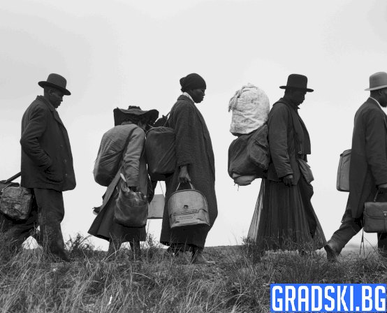 Замръзнали общества