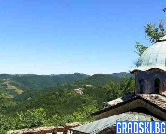 Зелено дърво