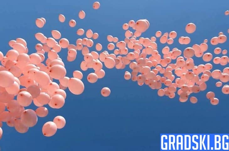 В памет на починалите жени от рак на гърдата бяха пуснати 1200 розови балона