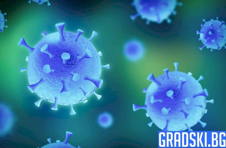Официалният информационен портал за пандемията от коронавирус вече е факт