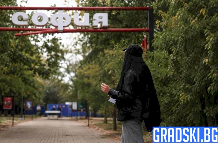 Сивопаветни мисли на един провинциалист