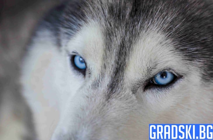 Мая и нейната жестока съдба